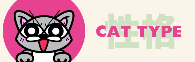 猫のイラスト（11cats コキチ）